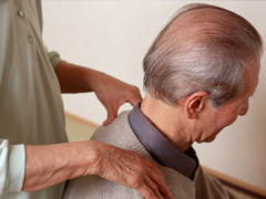 �n�b�v�F�V�l�̗l�q